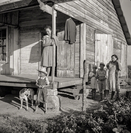 Shorpy: The Hundred-Year-Old Photo Blog - The Creosote Journal