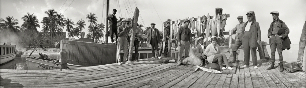 Photo showing: Catch-O-the-Day -- Circa 1920. Florida fish dock with day's catch. 4x12 inch nitrate negative by Albert M. Price.