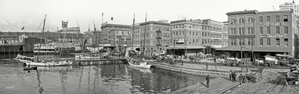 Photo showing: Foreign Fruits -- Circa 1905. The Basin -- Baltimore, Maryland. Panorama made from three 8x10 inch glass negatives.
