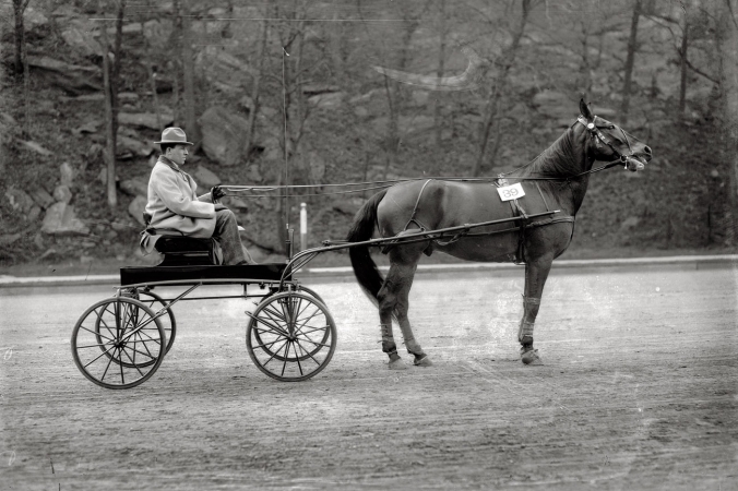 Photo showing: Strange Leaf -- May 1, 1908. Speedway parade. Louis Frank with trotter 'Strange Leaf,' a prize winner.