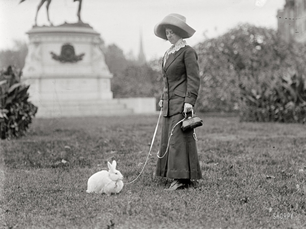 Photo showing: Washington Rabbit -- Washington, D.C., 1911. Mrs. J.R. Band with pet rabbit.