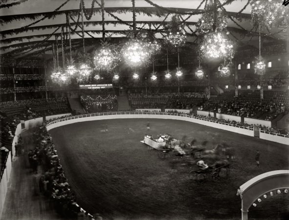 Photo showing: Horse Show -- November 1909. The 25th annual National Horse Show at Madison Square Garden in New York.