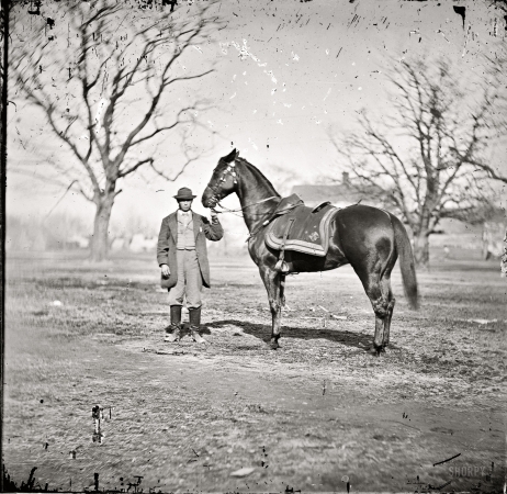 Photo showing: Top Dog: 1865 -- March 1865. City Point, Virginia. General U.S. Grant's horse Cincinnati.
