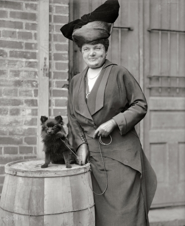 Photo showing: He Lives in My Hat -- Washington, D.C. 1915. Mrs. H. Morgan Hill, Dog Show.
