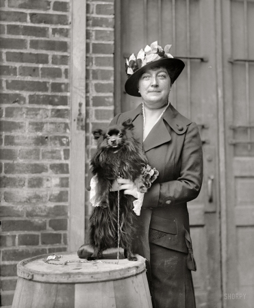 Photo showing: Bright-Eyed -- Mrs. Henry C. Corbin. Washington Kennel Club dog show of April 1915.