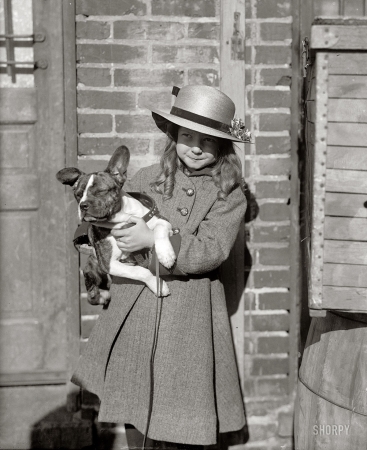 Photo showing: Two of a Kind -- Dog Show. Miss Rochester, 1915.
