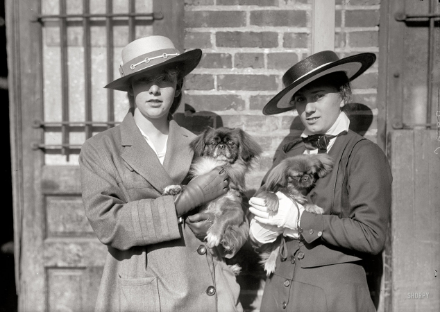 Photo showing: Two for the Show -- Washington, D.C., circa 1915. Miss Catherine L. Littauer. Dog show.
