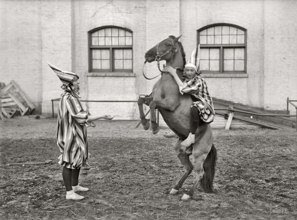 Photo showing: Hanging On -- Washington, D.C. circa 1916. Society Circus. Clowns and horse.