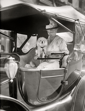 Photo showing: Diplomatic Pooch -- Washington, D.C., 1915. Mrs. Robert Lansing in auto.