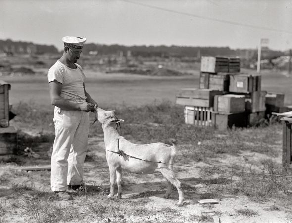 Photo showing: The Lonely Goatherd -- German sailor with mascot from the cruiser Prinz Eitel Friedrich, interned at Norfolk, Va., in 1915.