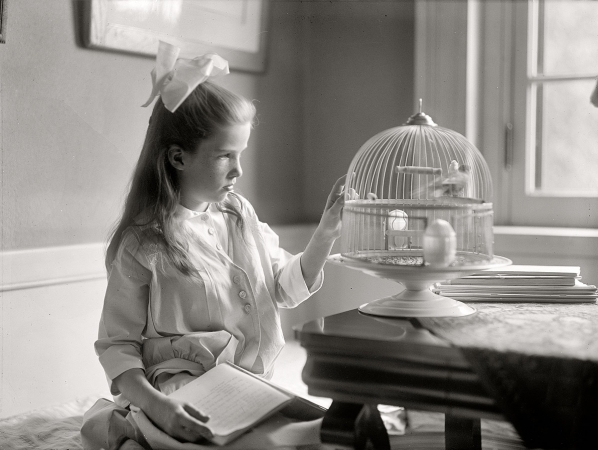Photo showing: The Naturalist -- Washington, D.C., circa 1915. Child with birdcage.
