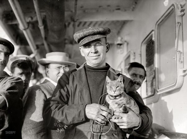 Photo showing: Nine Lives -- October 1910, aboard the steamship Trent off Bermuda. M. Vaniman and cat.