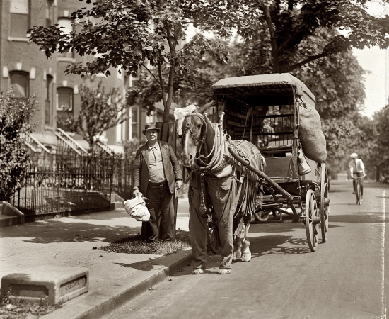 Photo showing: Fashions for Horses -- July 1923. A wagon horse outfitted against summer insect pests on the streets of Washington, D.C.