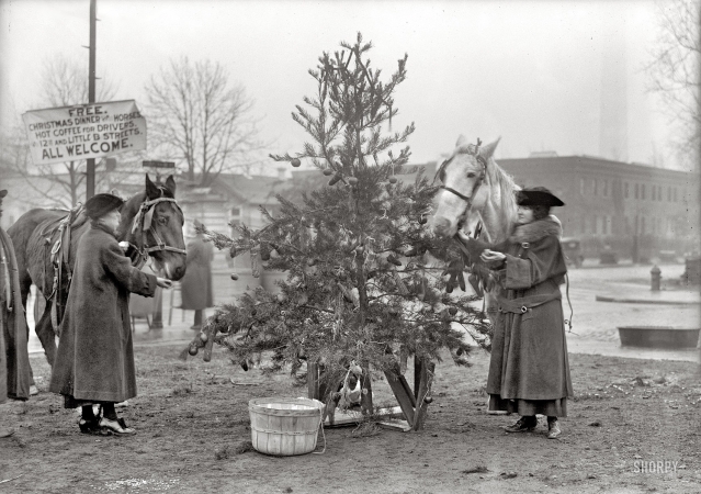 Photo showing: Christmas Dinner for Horses -- December 1918 in Washington, D.C.