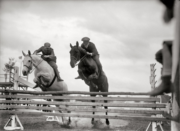 Photo showing: Jumpers -- Washington, D.C., or vicinity, 1919. Horse shows, miscellaneous. Unidentified jumpers.