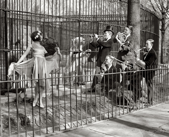 Photo showing: Musical Zoo -- The Better 'Ole Club Orchestra at the National Zoo, Washington, D.C. 1925.