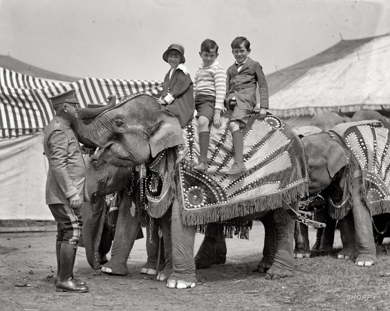 Photo showing: Elephant Walk -- May 15, 1925. Jane and Jimmy Davis, children of Labor Secretary James Davis and friend Theodore Amussen.