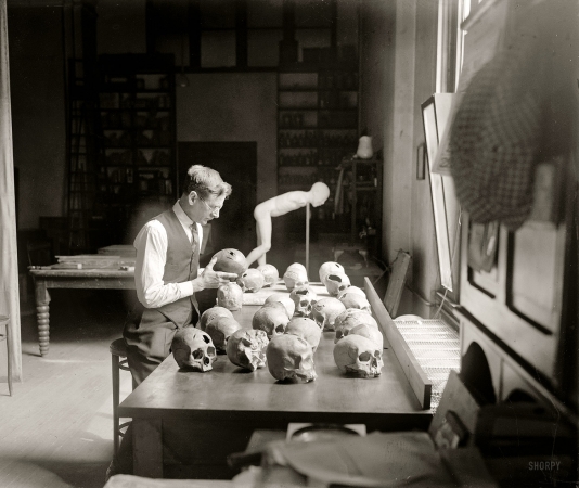 Photo showing: Head Cases: 1926 -- William H. Egberts examining trepanned skulls in the anthropology laboratory at the National Museum, Washington.