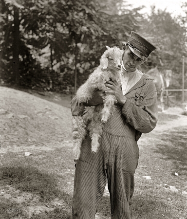 Photo showing: Got My Goat -- Washington, D.C., June 18, 1929. Stimson goat 'Billy the Kid,' National Zoo.