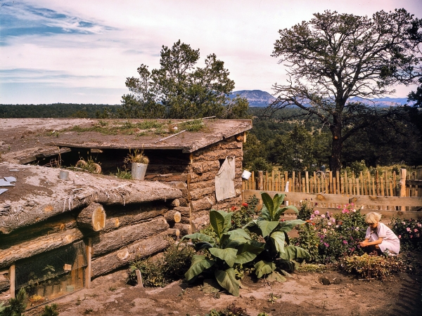 Photo showing: Pie Town Garden -- September 1940. Garden and dugout home of Jack Whinery, homesteader at Pie Town, New Mexico.