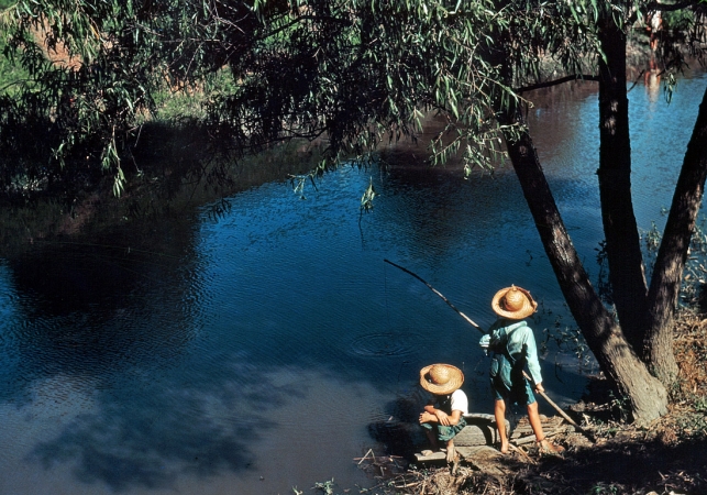 Photo showing: Gone Fishin -- June 1940. Cajun boys fishing in the bayou near Schriever, Louisiana.