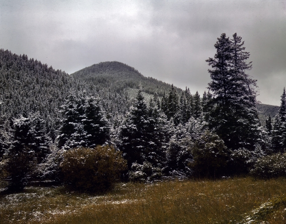 Photo showing: Christmas in August: 1942 -- First snow of the season. Foothills of the Little Belt Mountains. Lewis & Clark National Forest, Meagher County, Montana.