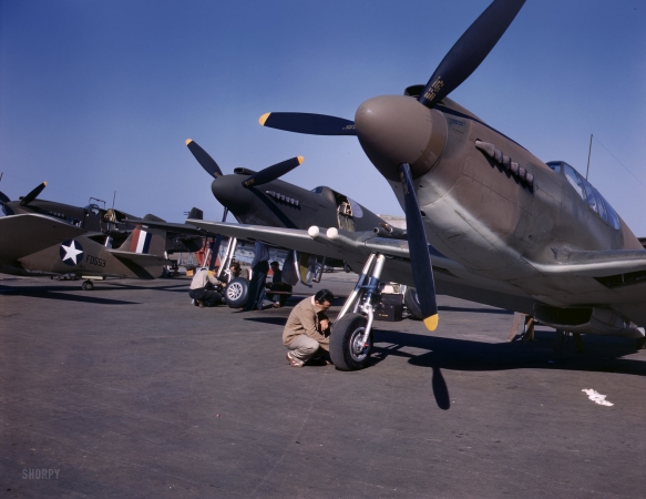 Photo showing: Mustang Ranch -- October 1942. P-51 Mustang fighter planes near the North American Aviation plant in Inglewood, California.