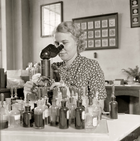 Photo showing: Testing Fibers for Uncle Sam -- September 28, 1937. Miss Mary L. Rollins, fiber technologist of the National Bureau of Standards in Washington.