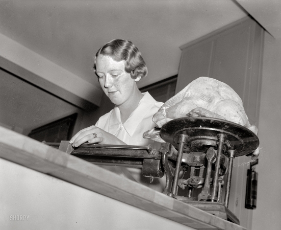 Photo showing: Weighing the Bird -- Washington, December 4, 1937. Miss Jessie Lamb demonstrates correct way to bake turkey.