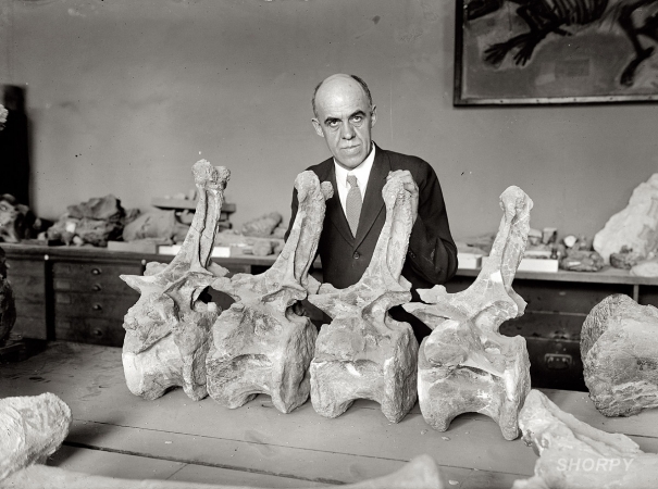 Photo showing: Bone Doctor -- September 25, 1924. Professor Charles Gilmore of the Smithsonian Institution with dinosaur Diplodocus.