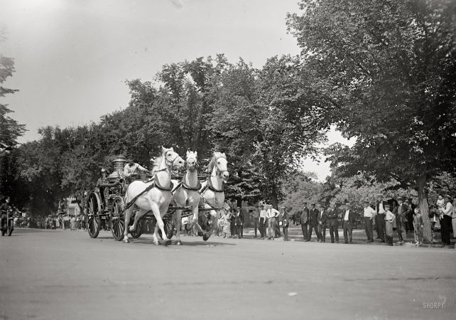 Photo showing: Barney, Gene and Tom -- June 15, 1925. Washington, D.C. Last run of Barney, Gene, and Tom, District Fire Department horses.