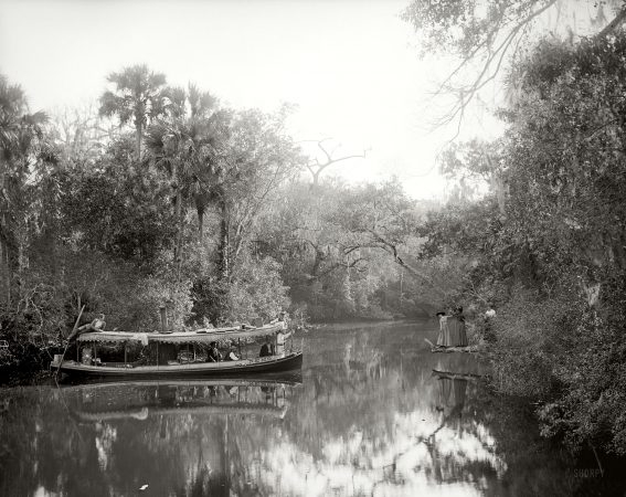 Photo showing: Boating on the Tomoka -- Florida circa 1890s.