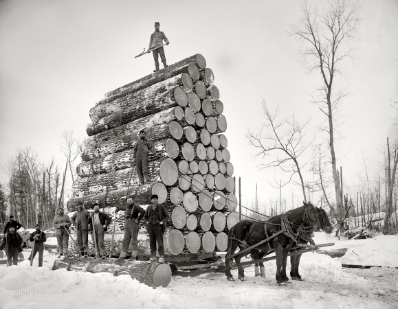 Photo showing: Two Horse Power -- Michigan circa 1890s. Logging a big load. 