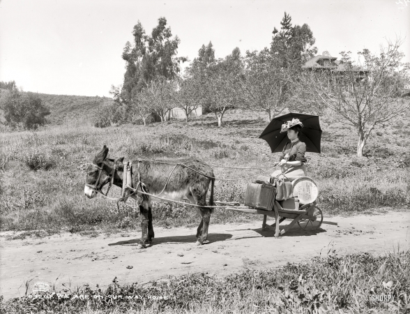 Photo showing: Wheel Burro -- Circa 1904. We are on our way home.