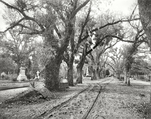 Photo showing: Bonaventure Cemetery -- Circa 1901 in Savannah, Georgia.