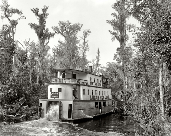 Photo showing: On the Ocklawaha -- Florida circa 1902. Steamboat Metamora of Palatka.