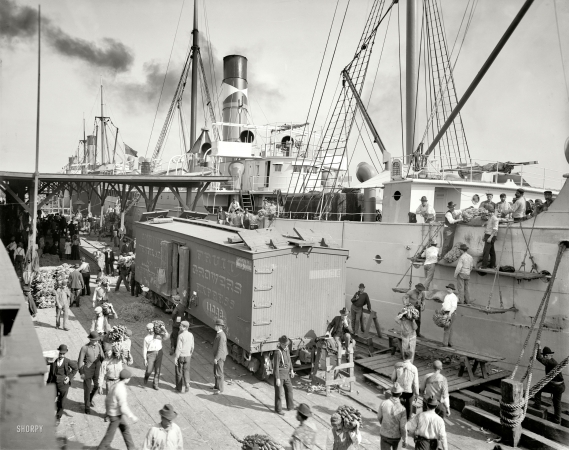 Photo showing: Banana Boat -- New Orleans circa 1903.