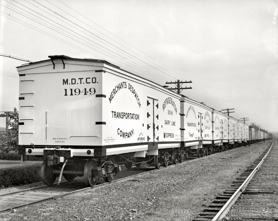 Photo showing: The White Boxcars --  New cars, Merchants Despatch Transportation Co., Despatch, New York, circa 1904.