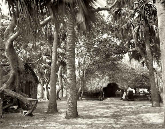 Photo showing: Jungle Bungalow -- Palm Beach, Florida, circa 1904. Alligator Joe's bungalow in the jungle.