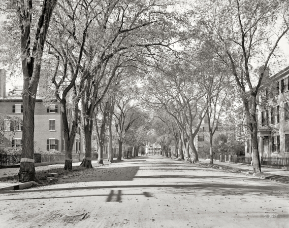 Photo showing: Chestnut Street -- Salem, Massachusetts, circa 1906.