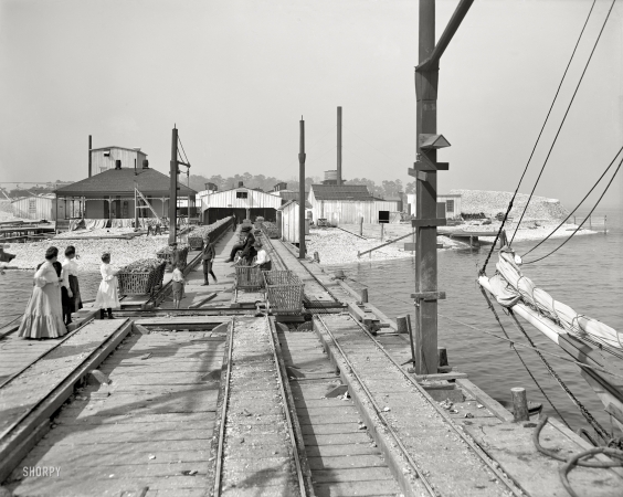 Photo showing: Biloxi, Mississippi -- Point oyster houses, circa 1906.