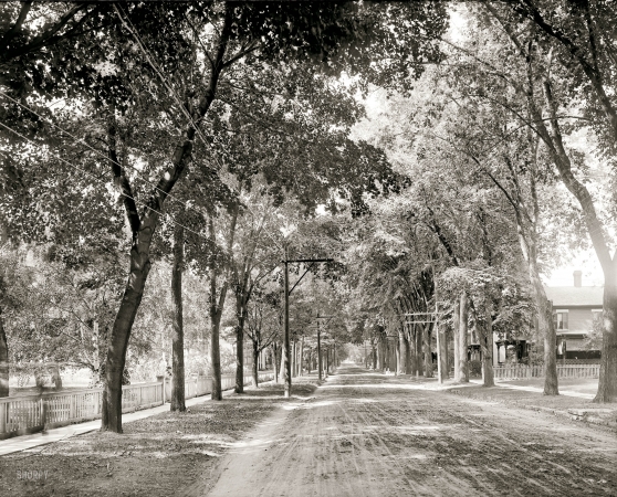 Photo showing: Next Stop, Willoughby -- Plattsburgh, New York, circa 1906. Brinkerhoff Street, west from Park.