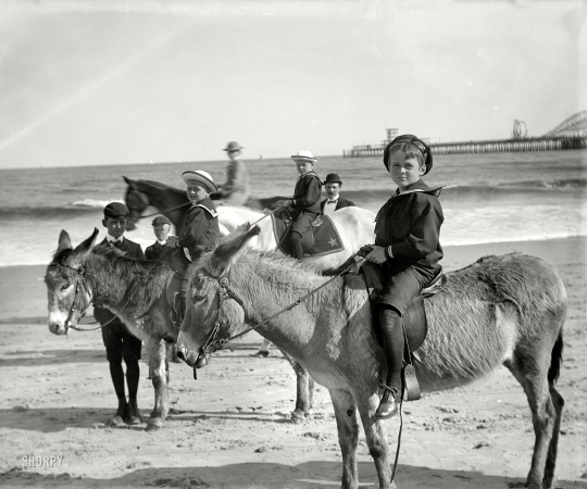 Photo showing: Jersey Shore Donkey Ride -- Riding donkeys, Atlantic City, circa 1901. Young's Pier roller coaster in the distance.
