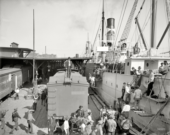 Photo showing: Unloading Banana Boat -- New Orleans, circa 1903.