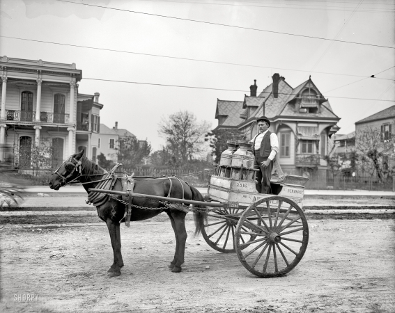 Photo showing: Milk Runner -- Esplanade Avenue circa 1903. New Orleans milk cart.