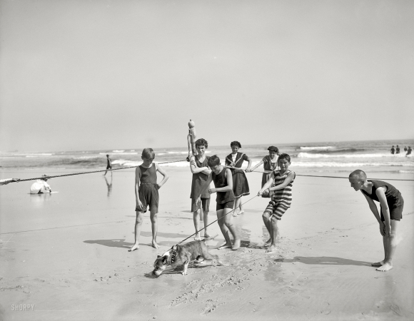 Photo showing: Heel! -- Bulldog on the beach, Coney Island, circa 1905.