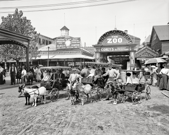 Photo showing: At the Zoo -- New York circa 1904. The goat carriages, Coney Island.