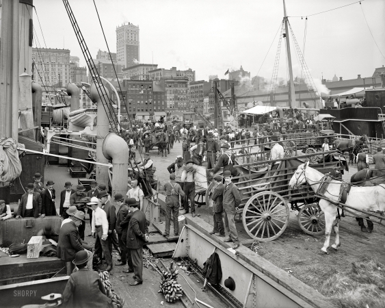Photo showing: New York Banana Docks -- Circa 1905.