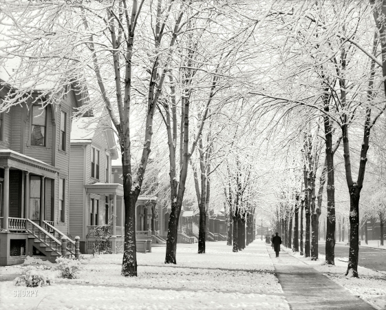 Photo showing: Neighborhood Winter Wonderland -- Circa 1905. A winter morning (possibly Detroit, Michigan).