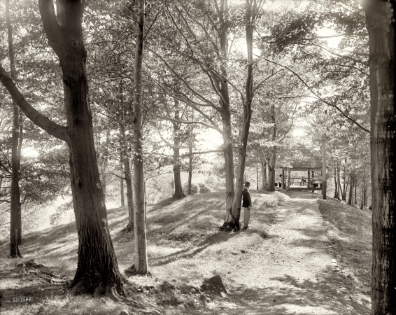 Photo showing: Sun-Dappled -- Oneida County, New York, circa 1906. Summit Park at Oriskany, near Utica. 